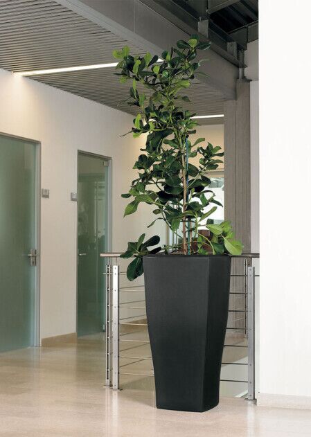 VASO QUADRO QUADRUM IN RESINA