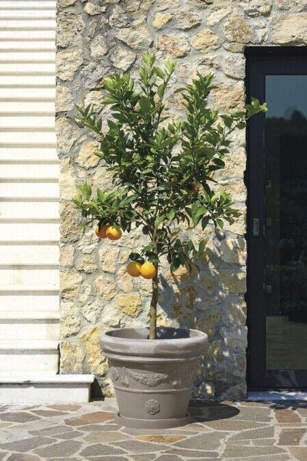 VASO FESTONATO SPECIAL COLOR IN RESINA