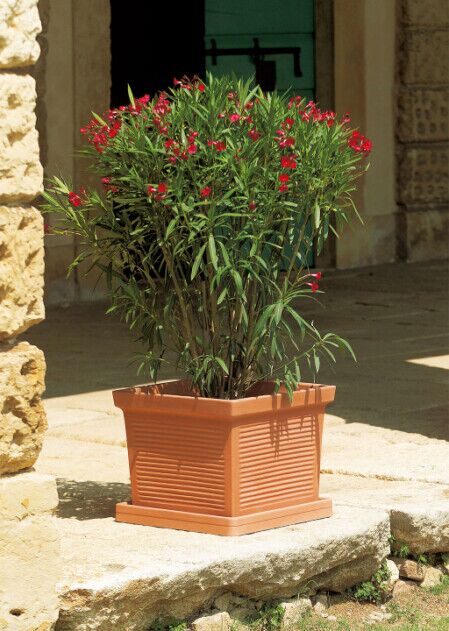 VASO QUADRO MILLERIGHE IN RESINA