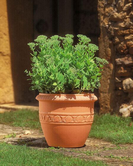 VASO ETRUS IN RESINA