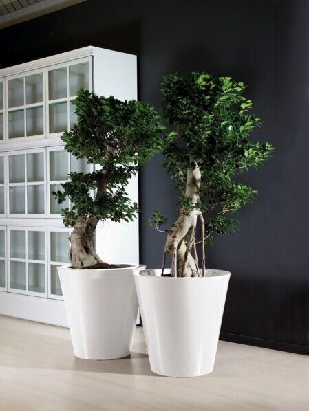 VASO KUNO GLOSS IN RESINA