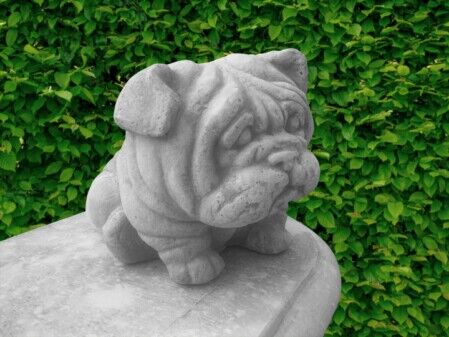 TE4548/GR - SHAR PEI FUNNY IN MARMO CEMENTO